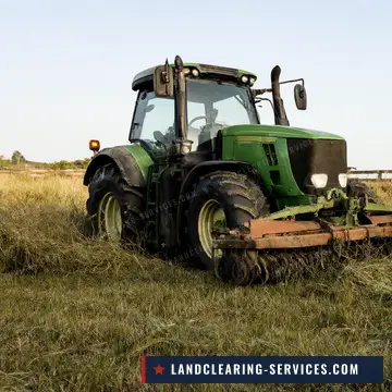 Green tractor bush hogging an overgrown pasture along a wooden fence line