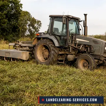 Tractor with a rotary cutter bush hogging tall grass in a pasture