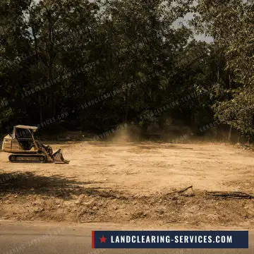 Skid steer clearing a wooded residential lot down to dirt next to the road