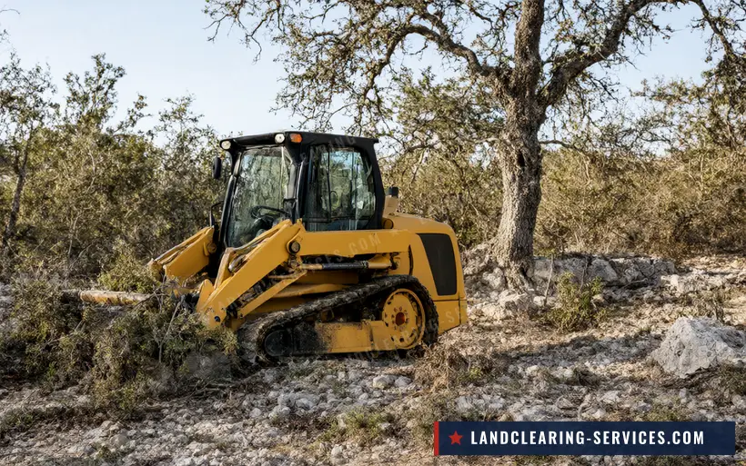 Compact track loader clearing cedar and brush between live oaks on rocky caliche ground