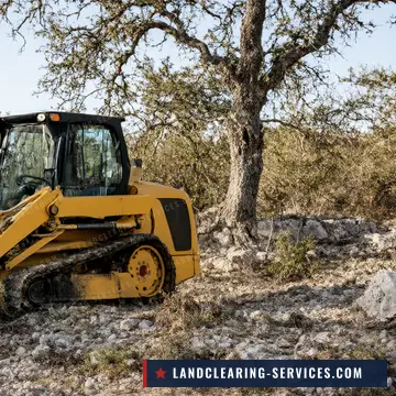 Compact track loader clearing cedar and brush between live oaks on rocky caliche ground